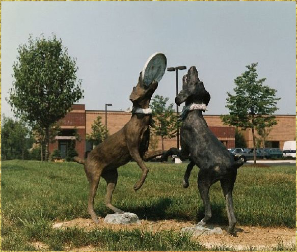 Dogs Playing Frisbee
